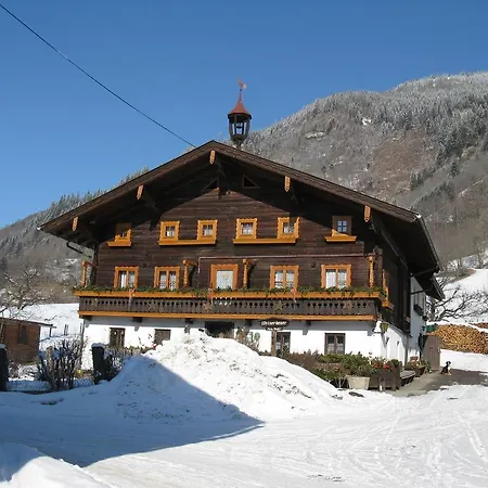 Steinerbauer *
